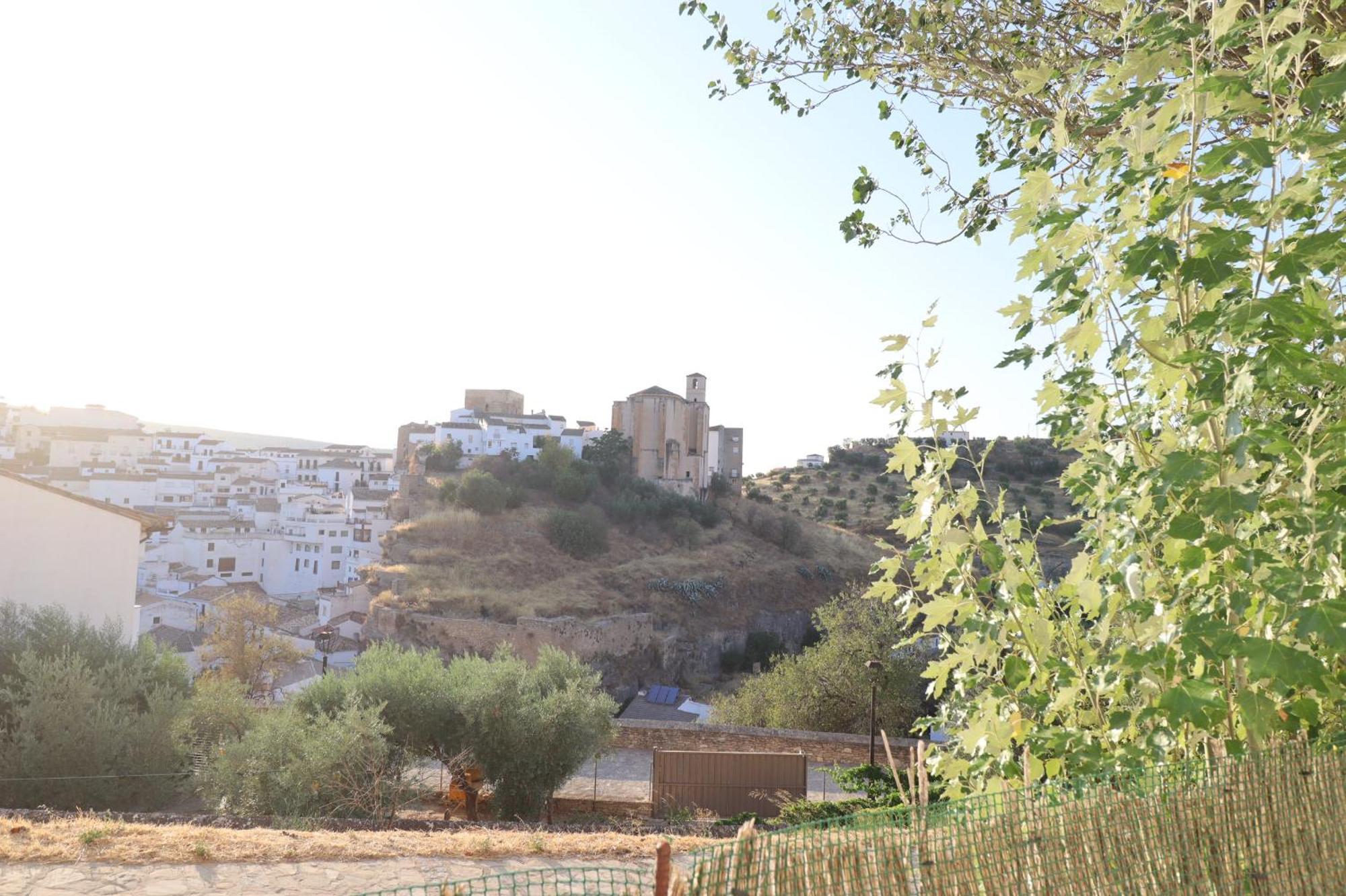 Apartamento El Mirador Del Parque Setenil De Las Bodegas 外观 照片